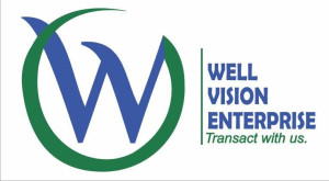 Well Vision Enterprise Co. Ltd